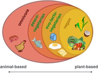 Plant-based diets spectrum