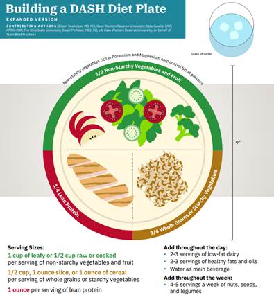 The DASH diet plate example
